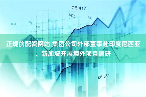 正规的配资网站 集团公司外部董事赴印度尼西亚、新加坡开展境外项目调研