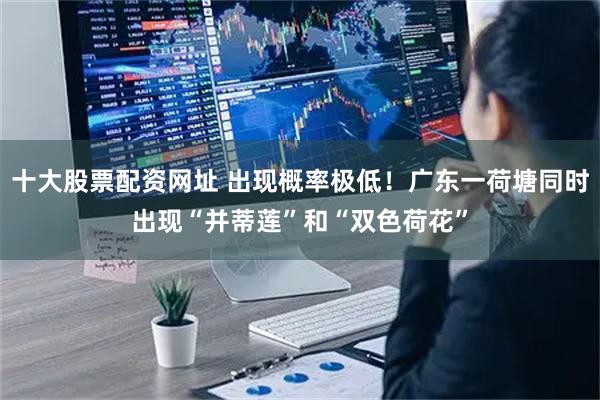 十大股票配资网址 出现概率极低！广东一荷塘同时出现“并蒂莲”和“双色荷花”